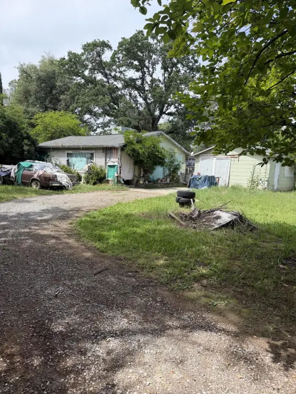 Picture 41