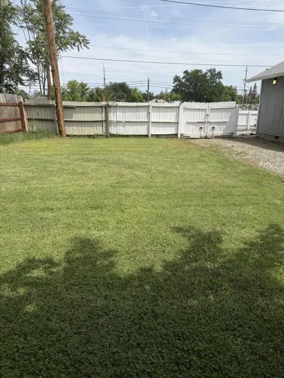 Picture 35