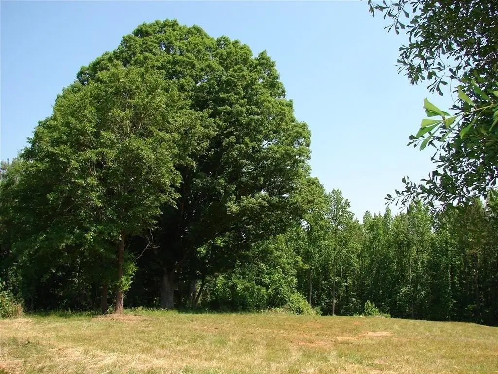 Picture 4
