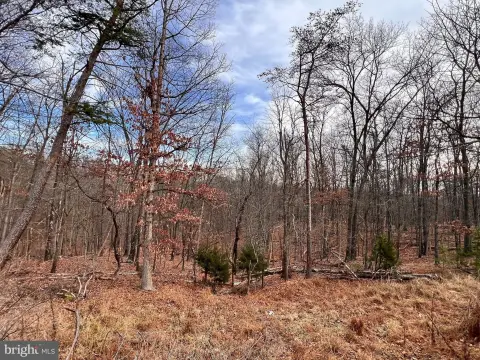 8+ Acre Wooded Lot