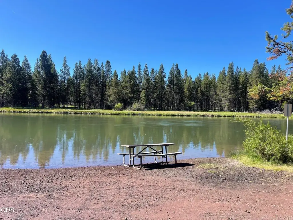 Picture 20