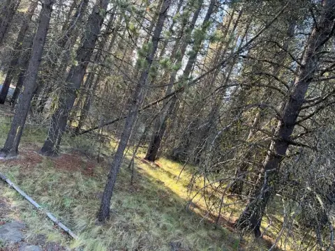 Recreational Land in Bend, Oregon