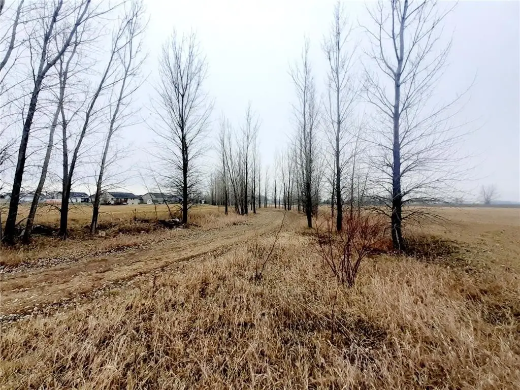 Picture 19