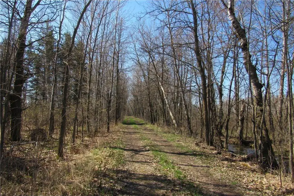 Picture 17