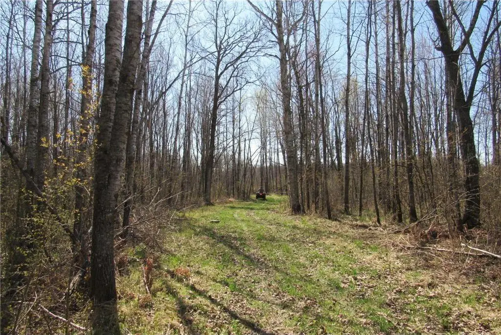 Picture 18