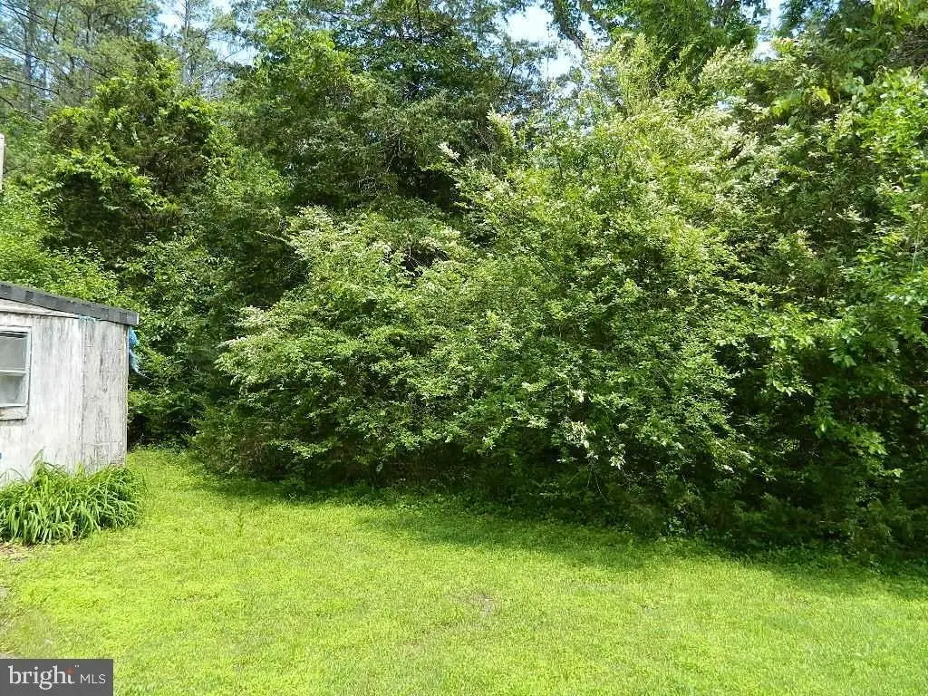 Picture 4