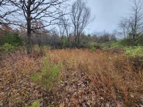 Bucyrus, MO Land For Sale