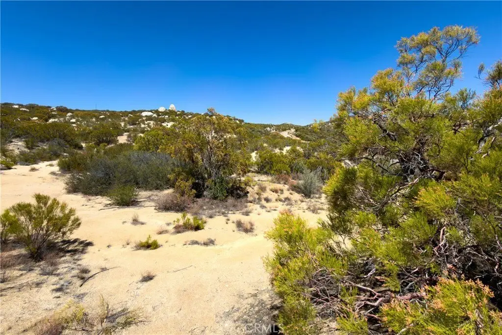 Picture 24