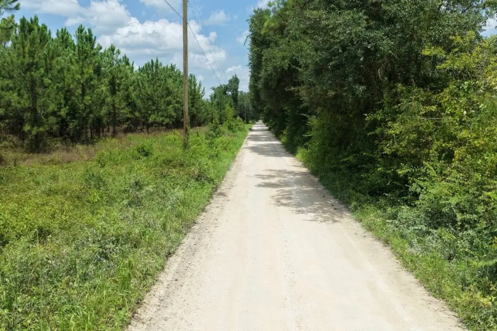 Picture 69