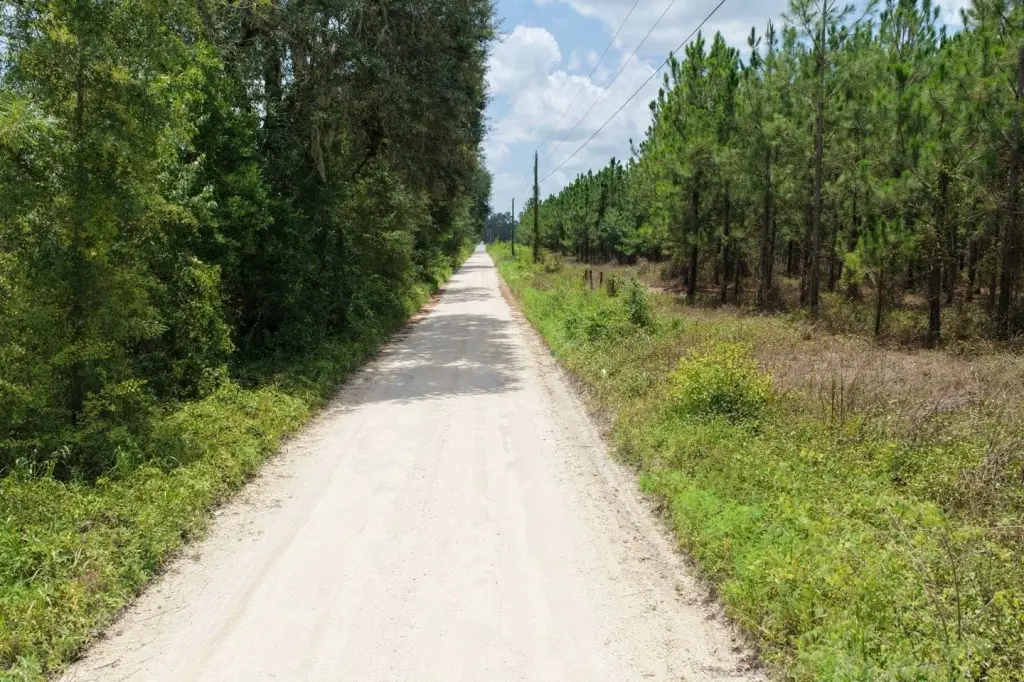 Picture 68