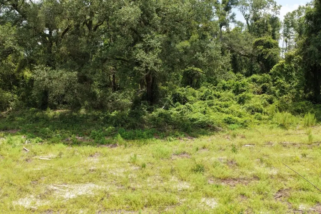 Picture 42