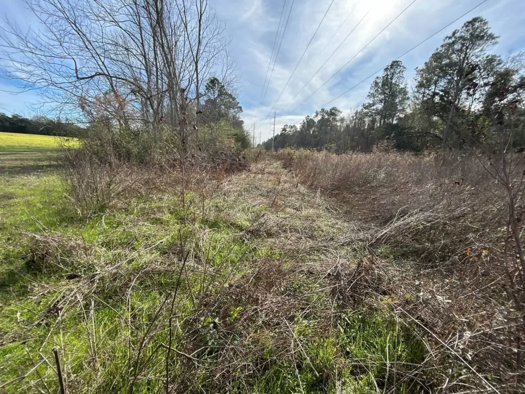 Picture 28