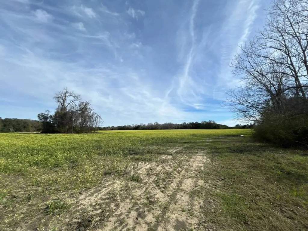 Picture 31