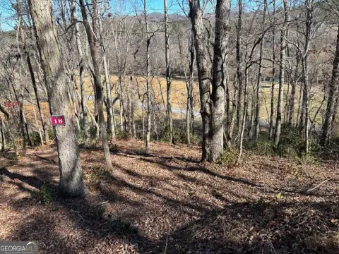 Wooded Lot Near Community Creek