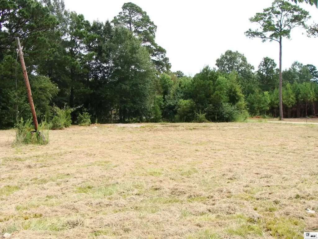 Picture 3