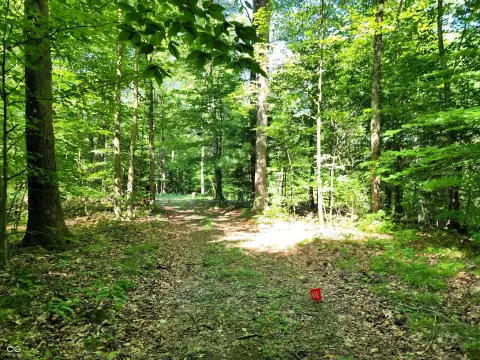 Martinsville Wooded Residential Lots