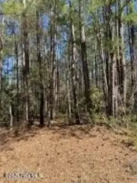 Land in Burgaw, North Carolina