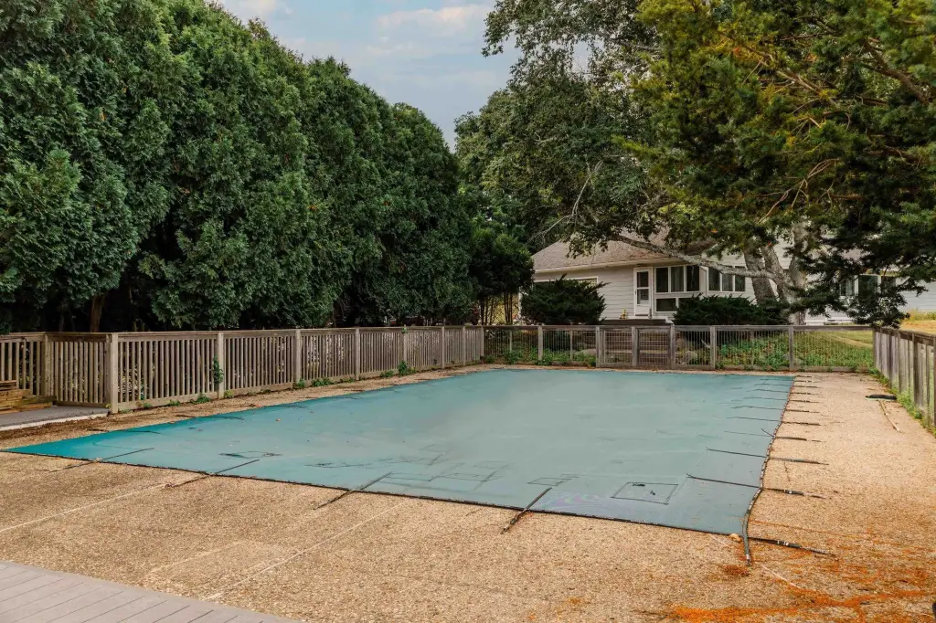 Picture 53