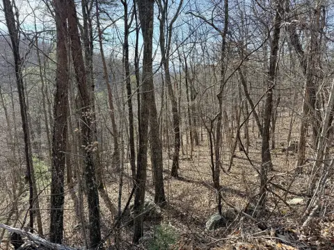 Sevierville Land in English Mountain