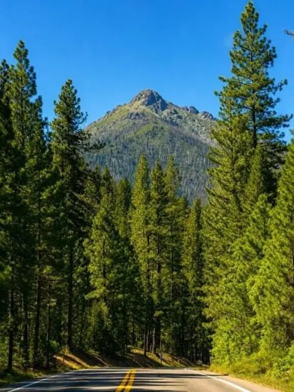 Picture 37