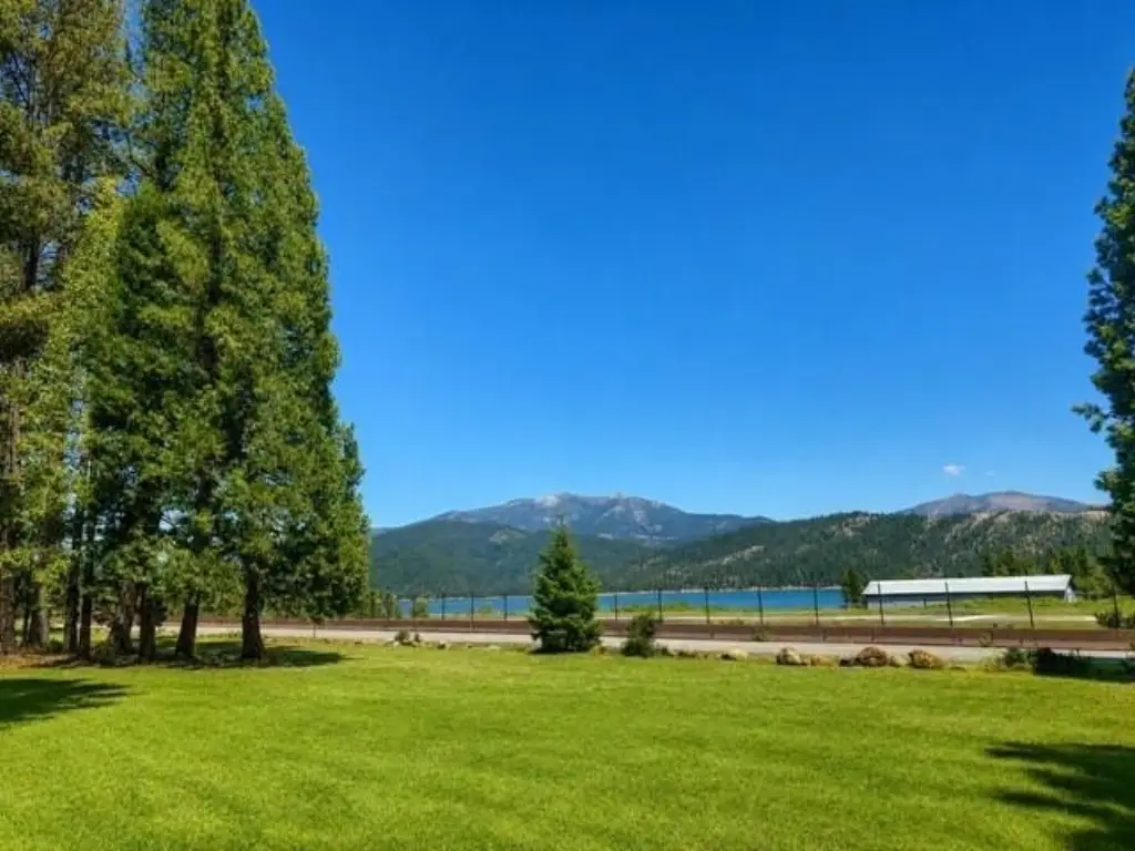 Picture 13