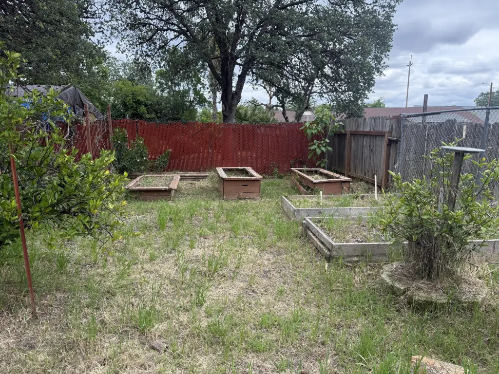Picture 4