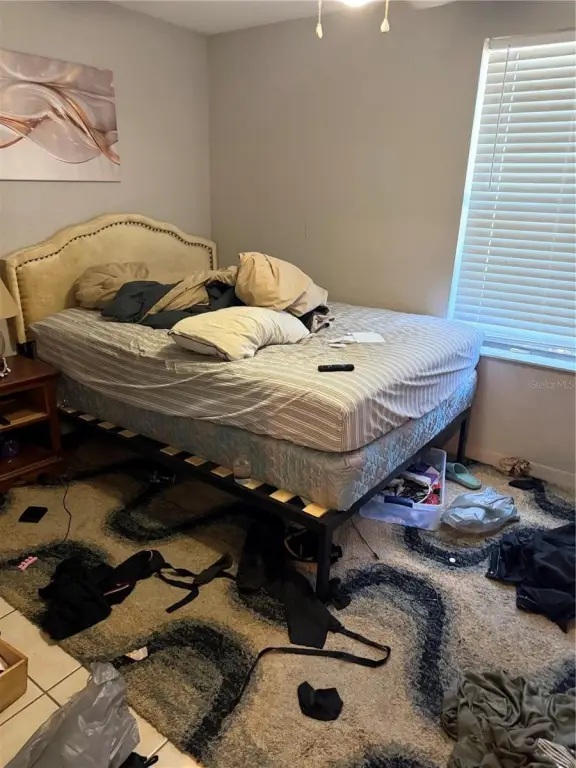 Picture 42