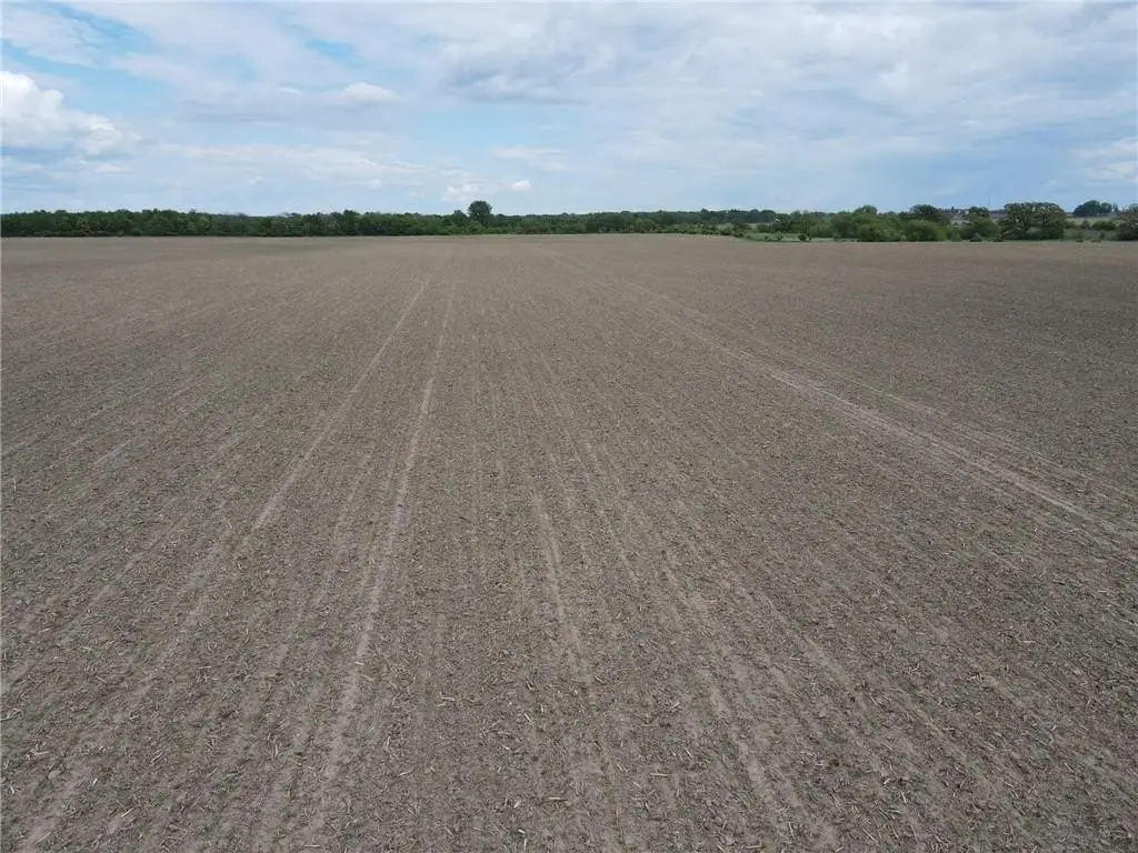 Picture 22