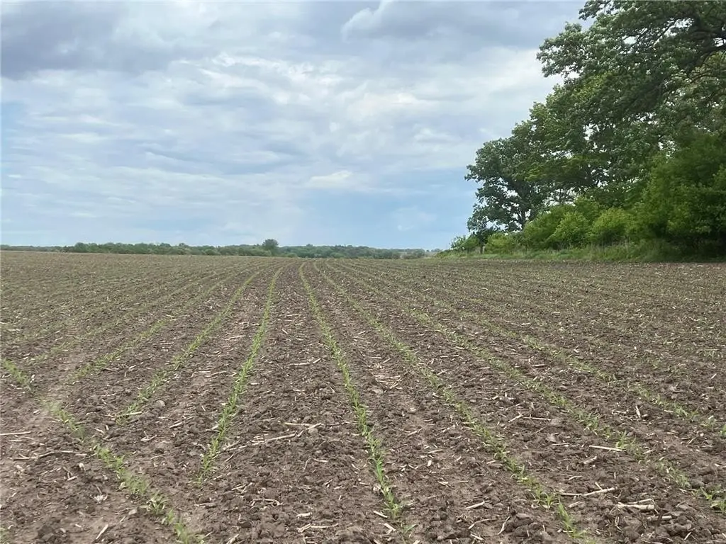 Picture 14