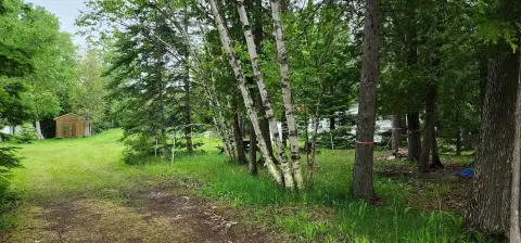 Half-Acre Getaway in Goetzville, MI