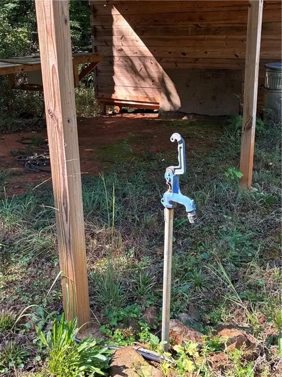 Picture 5