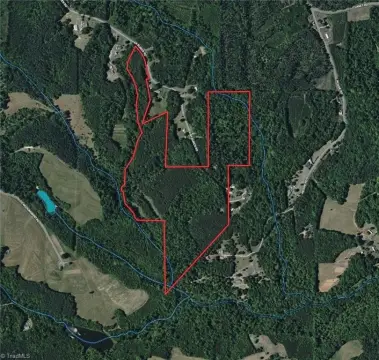Mature Wooded Land