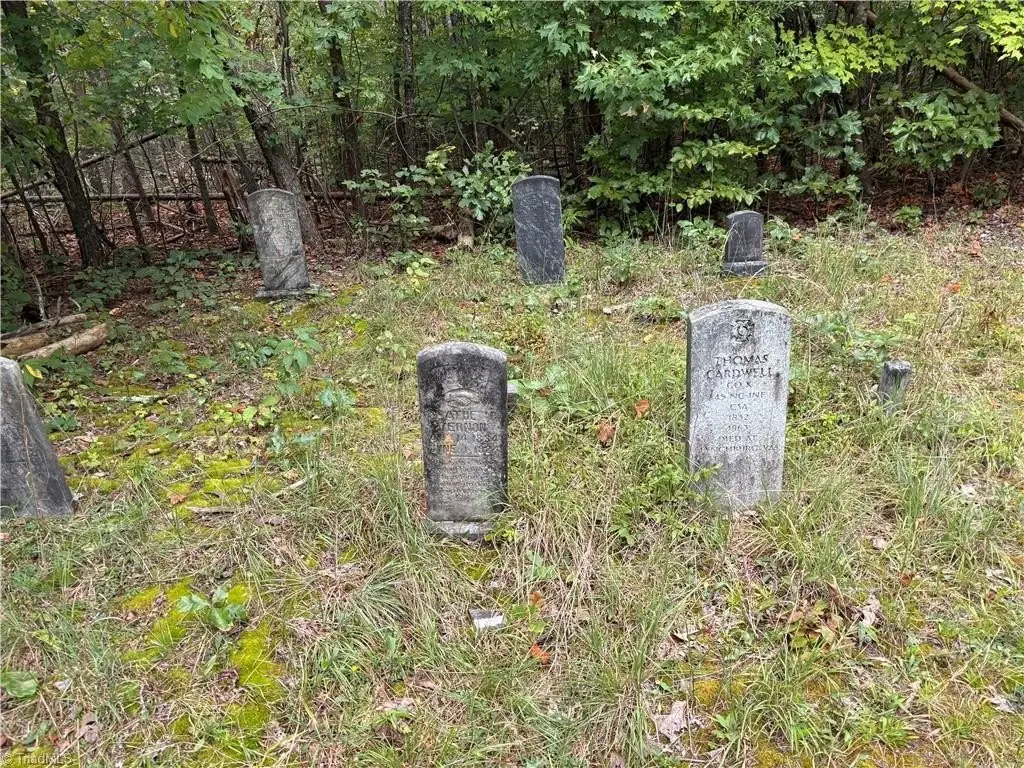Picture 25