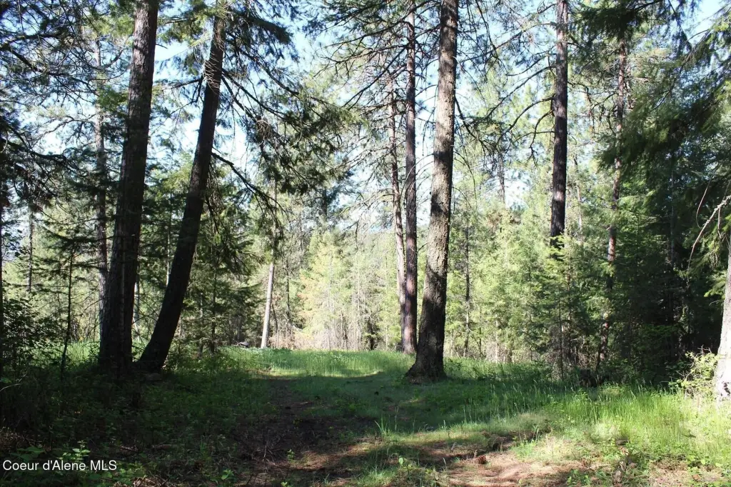 Picture 43