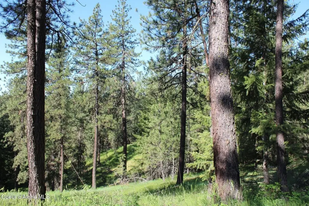 Picture 39
