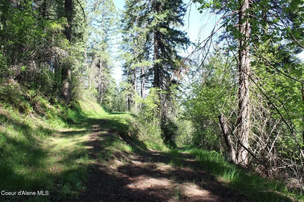 Picture 47