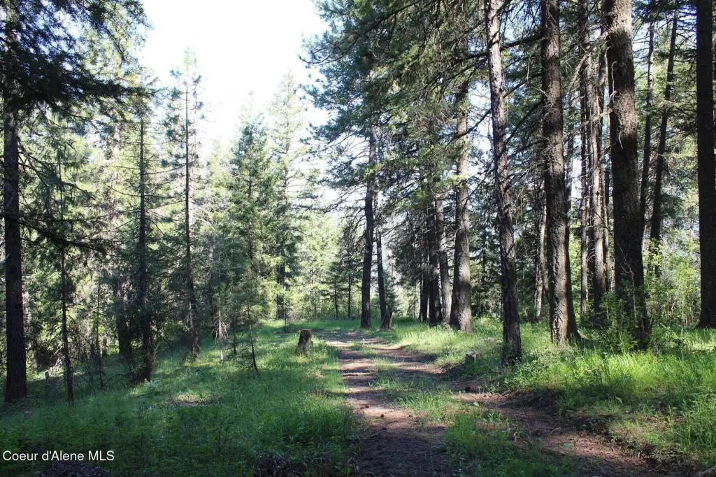 Picture 8