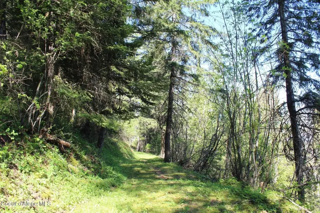Picture 48