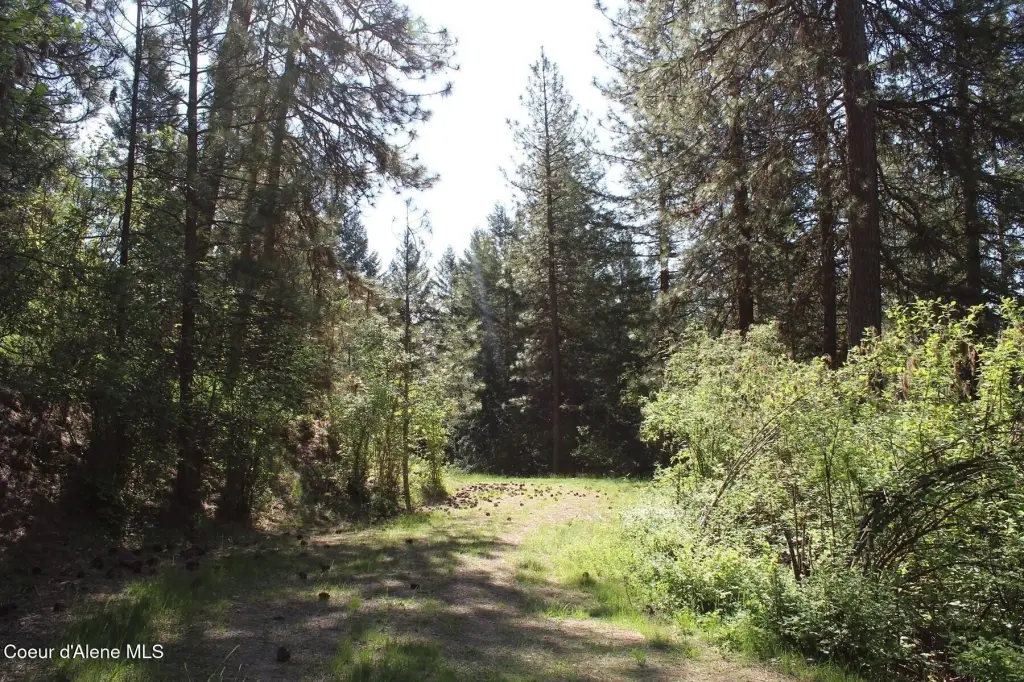 Picture 22