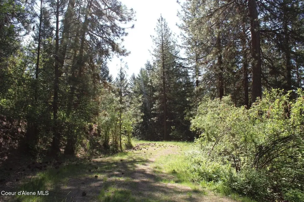 Picture 3
