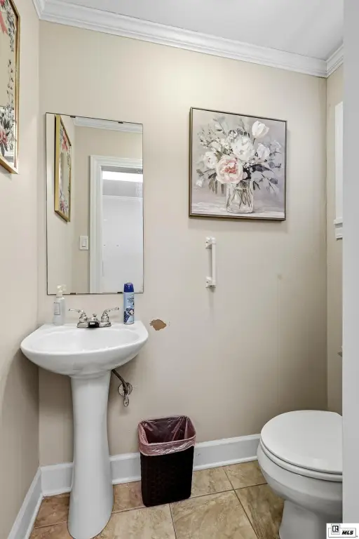 Picture 31