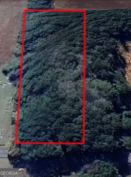 Land Near Downtown Luthersville