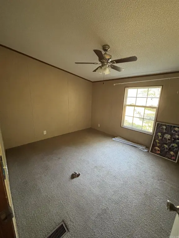 Picture 45