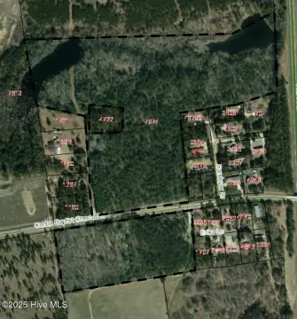 41 Acres in Jackson Springs