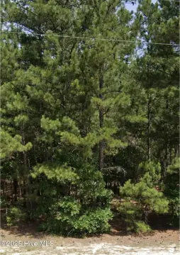 41 Acres in Jackson Springs