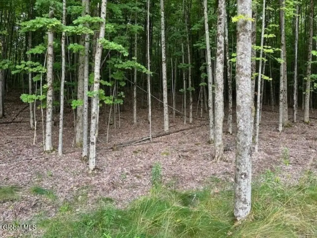 Picture 17