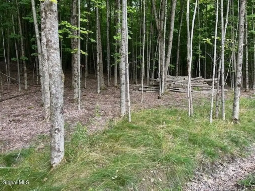 Picture 18