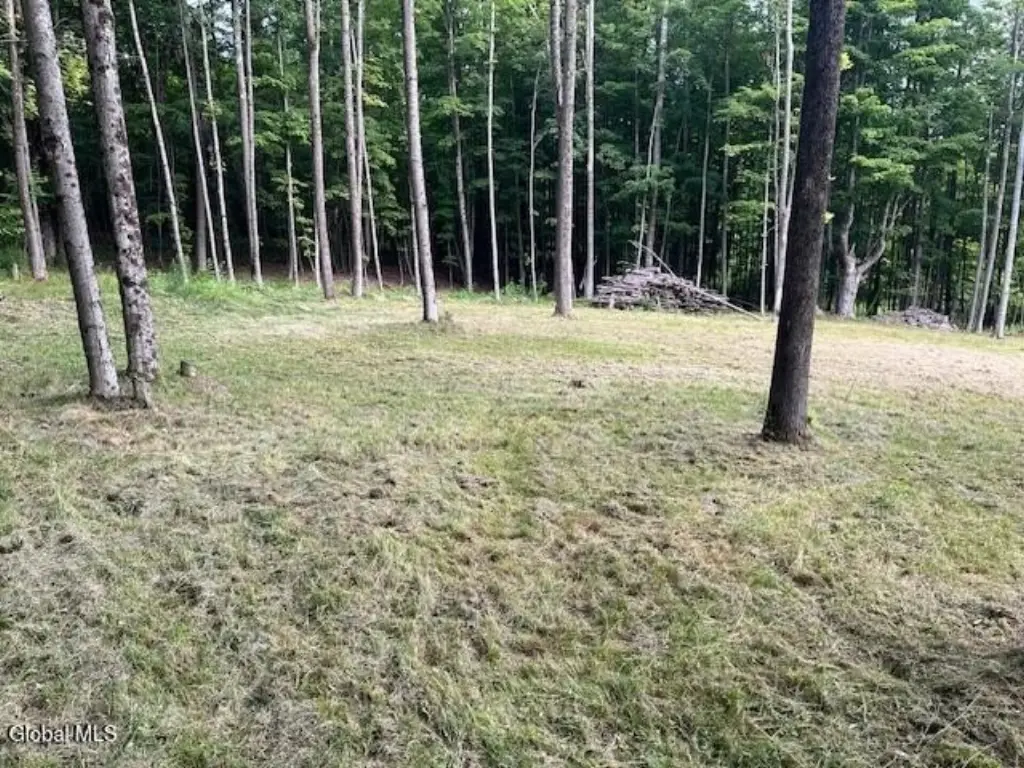Picture 19