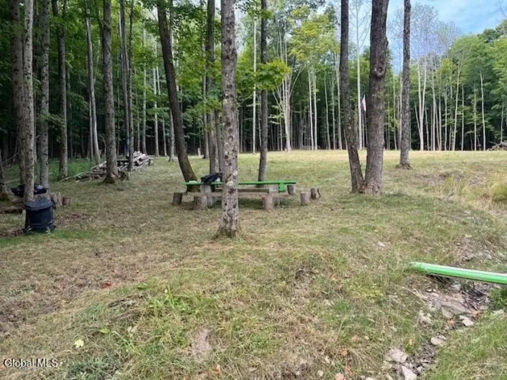 Picture 8