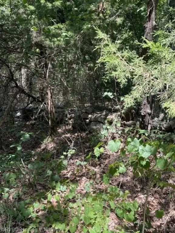 Picture 17